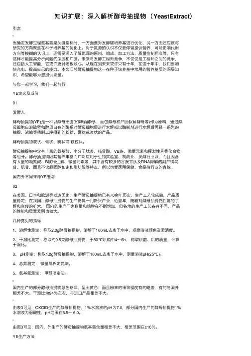 知识扩展：深入解析酵母抽提物（YeastExtract）