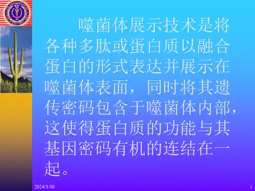 噬菌体展示技术和其应用ppt课件
