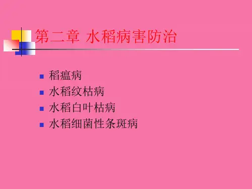 水稻常见病害及防治ppt课件