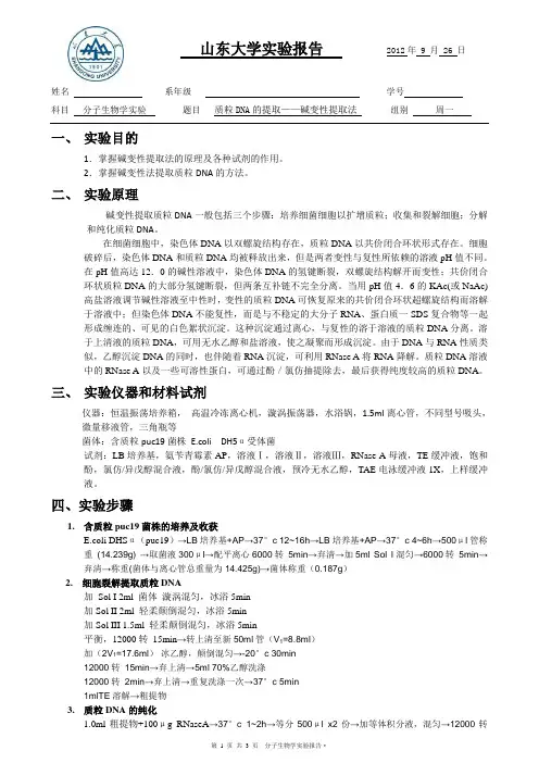 质粒DNA的提取——碱变性提取法