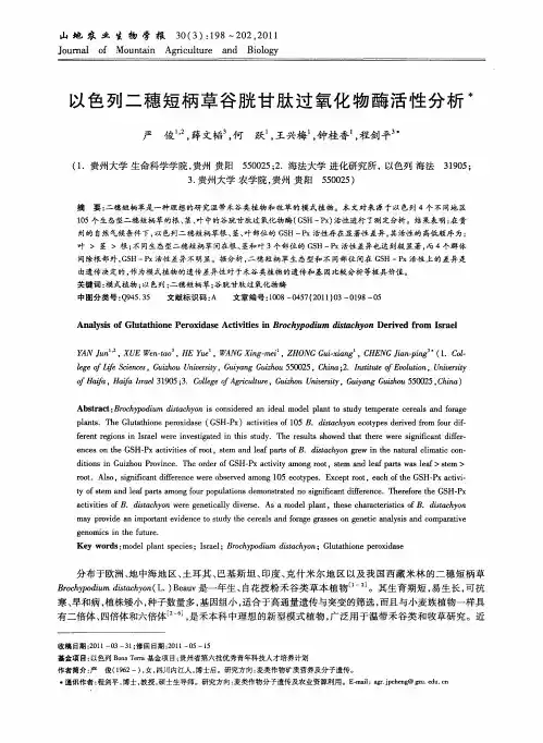 以色列二穗短柄草谷胱甘肽过氧化物酶活性分析