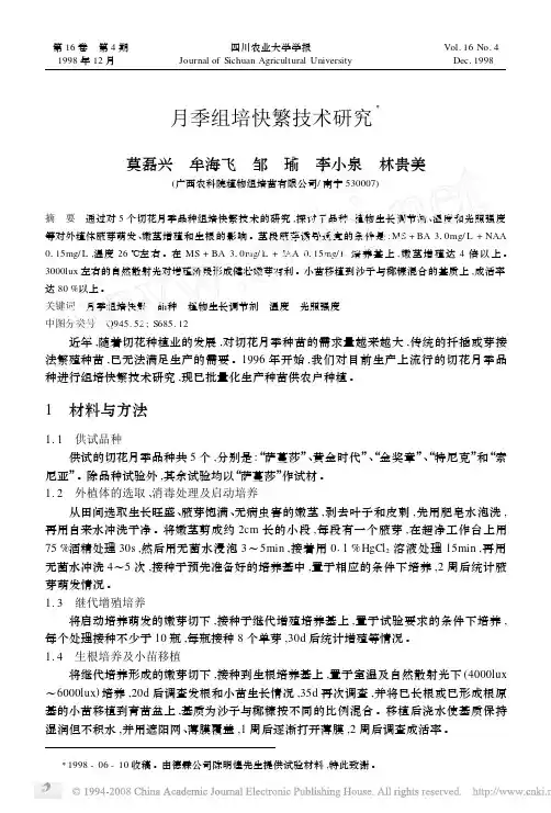 月季组培快繁技术研究