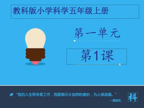 五年级上册科学课件-种子发芽实验一∣教科版 (共17张PPT)