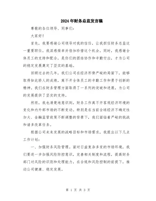 2024年财务总监发言稿