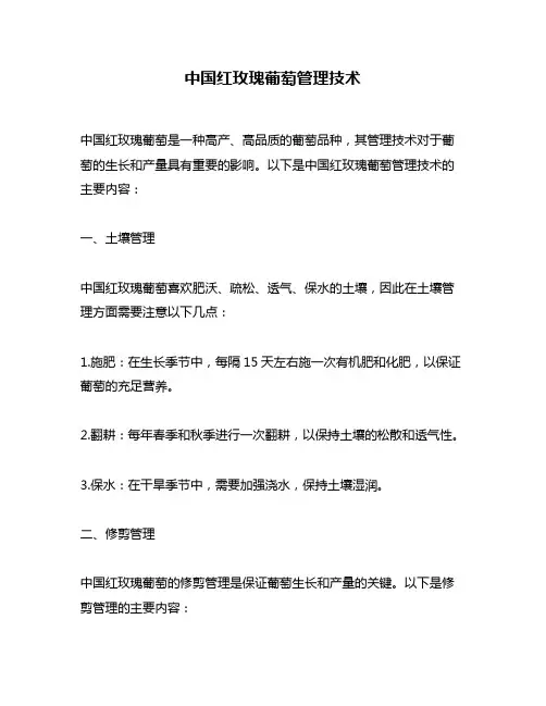 中国红玫瑰葡萄管理技术