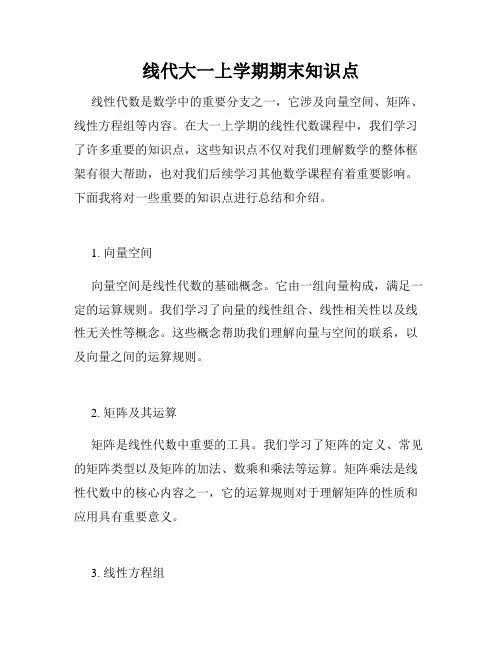 线代大一上学期期末知识点