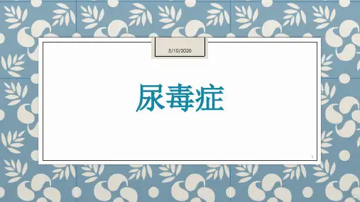 尿毒症PPT课件