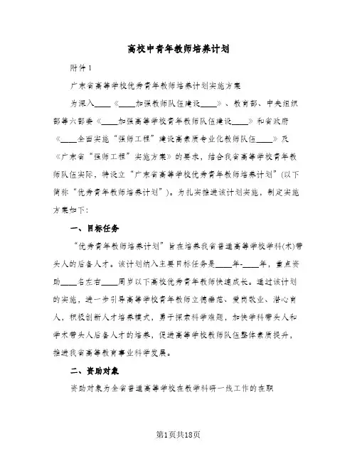 高校中青年教师培养计划(三篇)