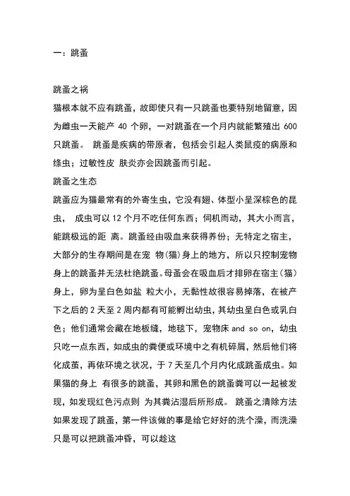 猫咪常见病