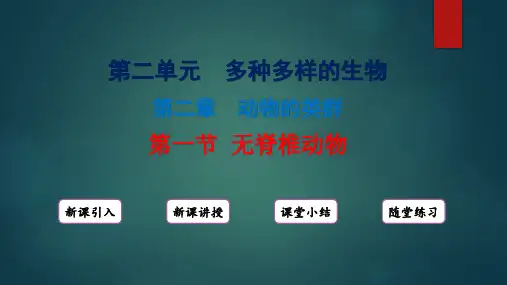 2024-2025学年人教版(2024)生物七年级上册+2.2.1无脊椎动物课件