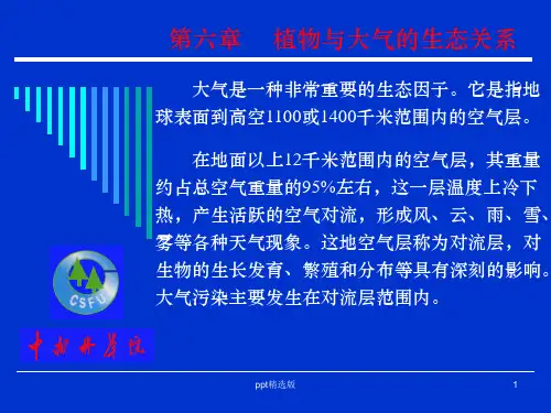 第7章植物与大气的生态关系ppt课件