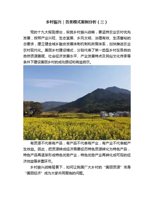 乡村振兴｜各类模式案例分析（三）