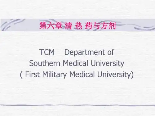 第六章 清 热 药与方剂