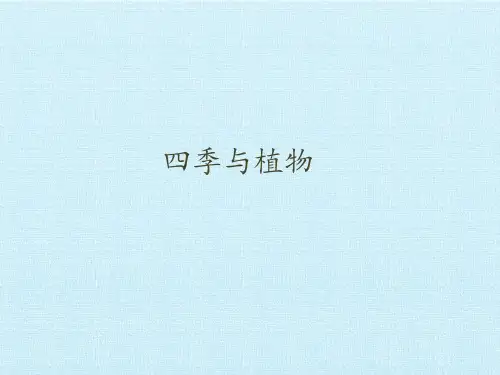 二年级下册科学四季与植物大象版