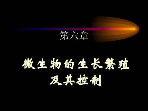 微生物的生长繁殖ppt课件