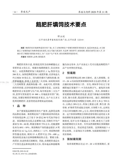 鹅肥肝填饲技术要点