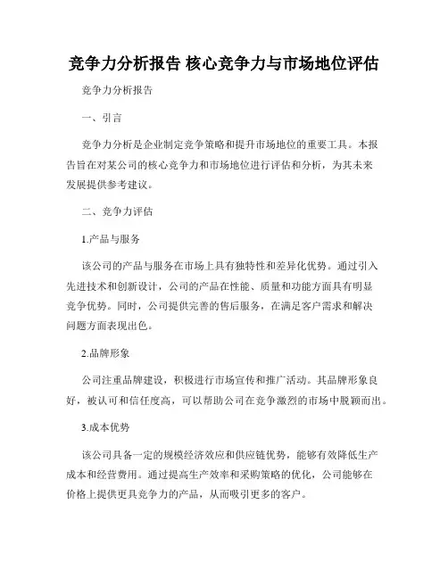 竞争力分析报告 核心竞争力与市场地位评估