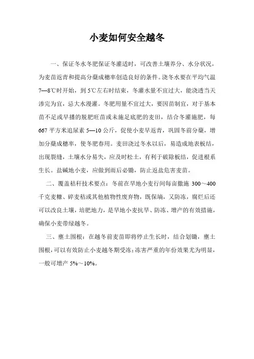 小麦如何安全越冬