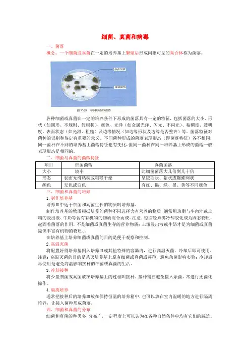 2017年中考生物复习 细菌、真菌和病毒知识点总结 新人教版