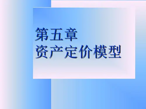 资本资产定价模型培训课程PPT(共 48张)