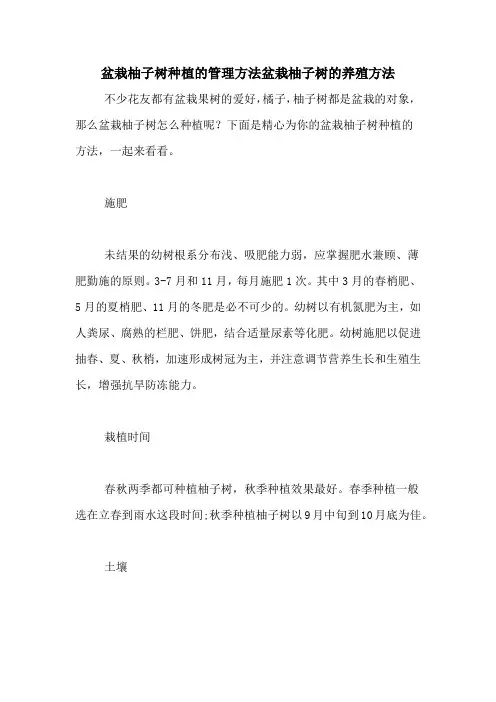 盆栽柚子树种植的管理方法盆栽柚子树的养殖方法