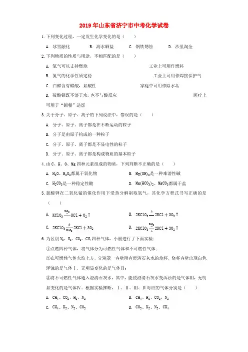 山东省济宁市2019年中考化学真题试题(含解析).docx