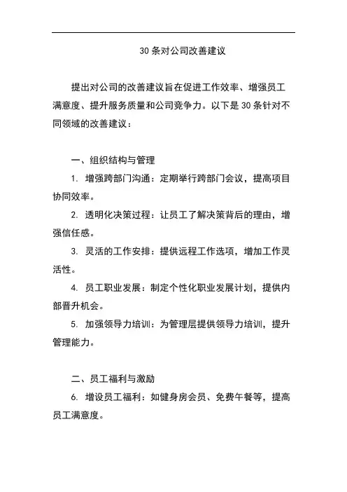 30条对公司改善建议