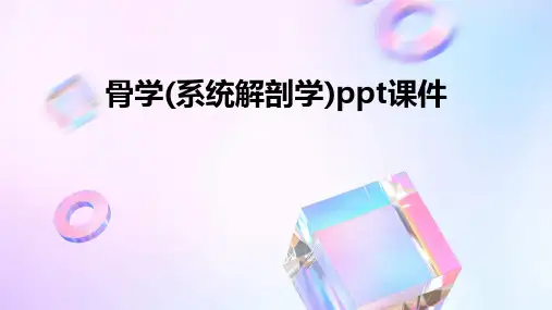 骨学(系统解剖学)PPT课件