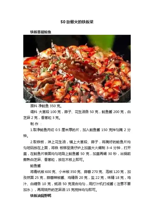50款最火的铁板菜