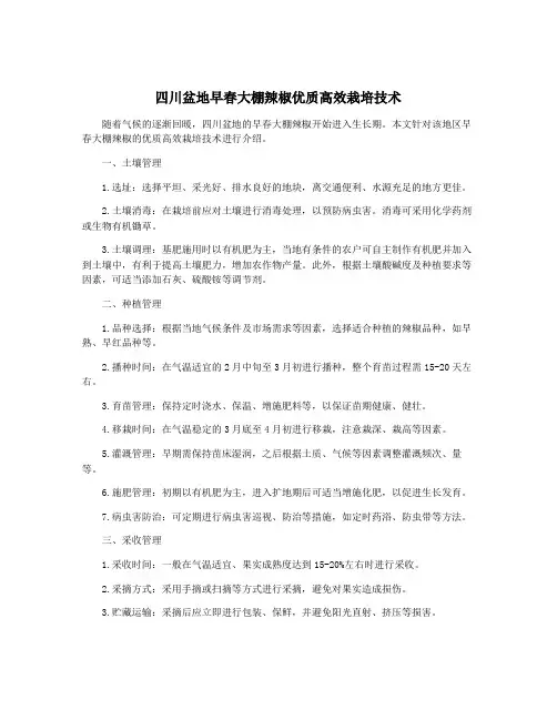 四川盆地早春大棚辣椒优质高效栽培技术