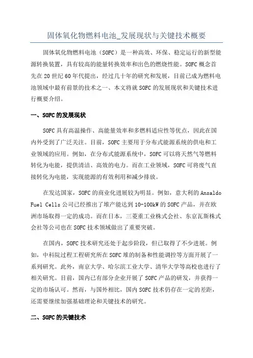 固体氧化物燃料电池_发展现状与关键技术概要