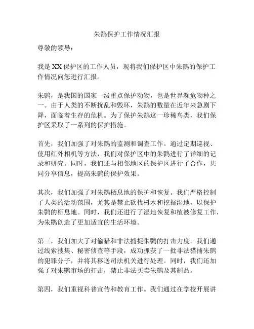 朱鹮保护工作情况汇报