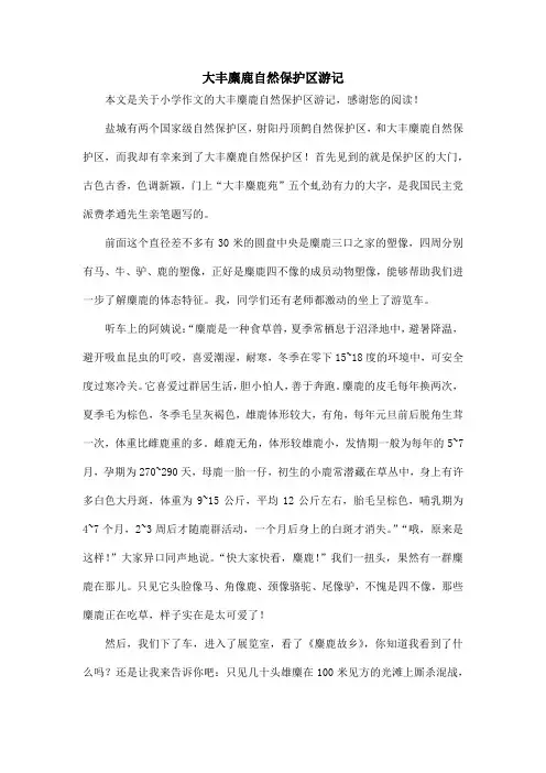 大丰麋鹿自然保护区游记_小学作文