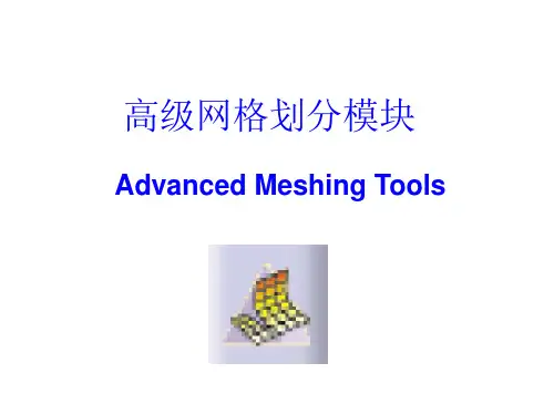 Catia-CAE高级网格划分课件