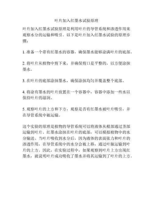 叶片加入红墨水试验原理
