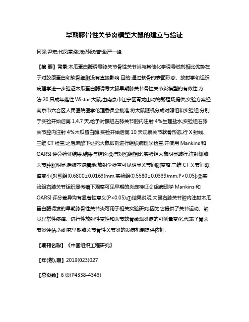 早期膝骨性关节炎模型大鼠的建立与验证