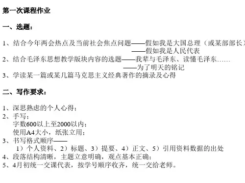 毛概ppt