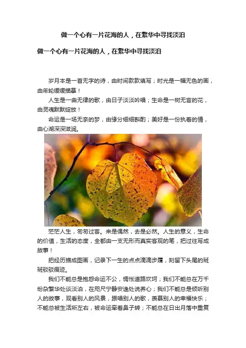 做一个心有一片花海的人，在繁华中寻找淡泊