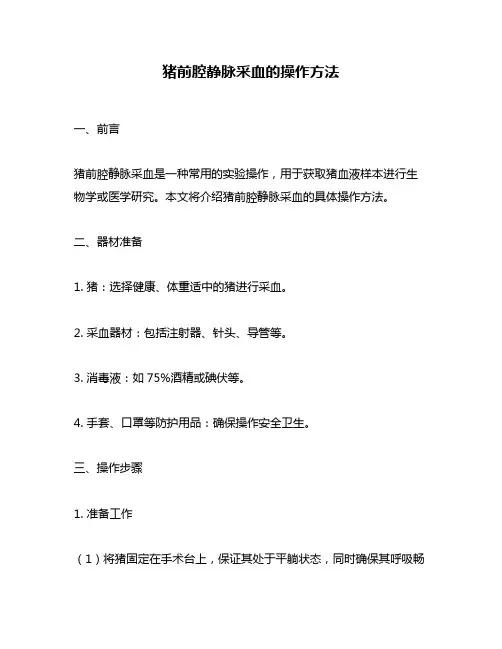 猪前腔静脉采血的操作方法
