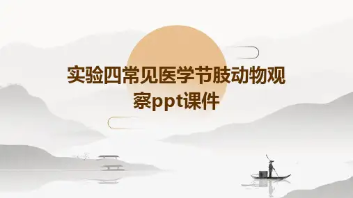 实验四常见医学节肢动物观察PPT课件