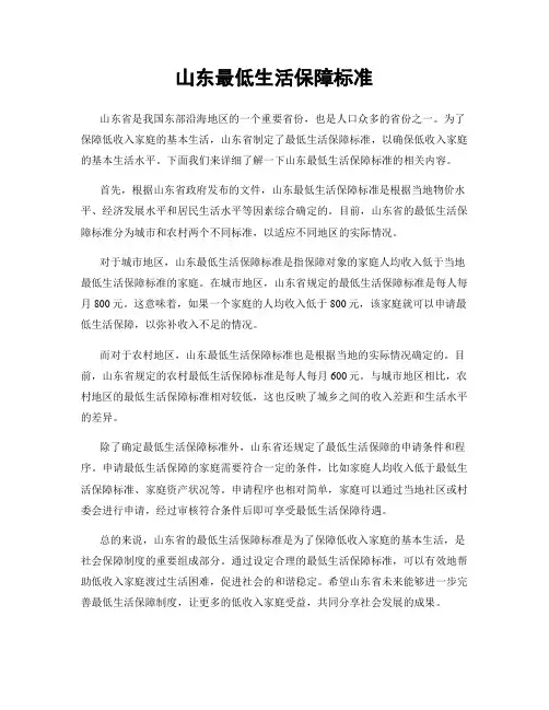 山东最低生活保障标准