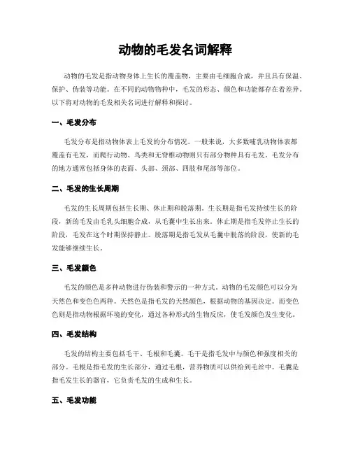 动物的毛发名词解释