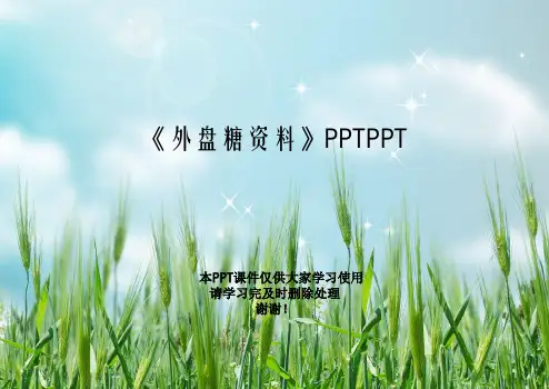 《外盘糖资料》PPTPPT