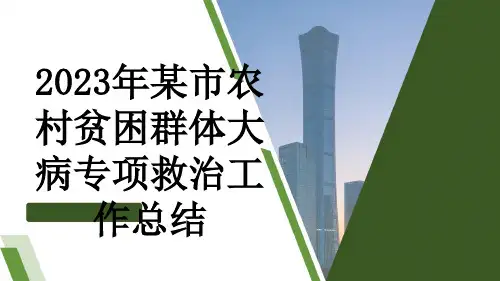 2023年某市农村贫困群体大病专项救治工作总结