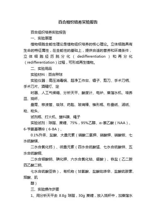 百合组织培养实验报告