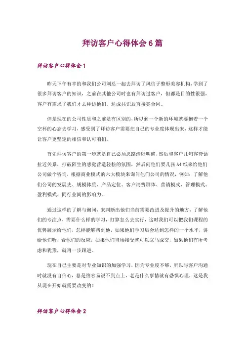 拜访客户心得体会6篇