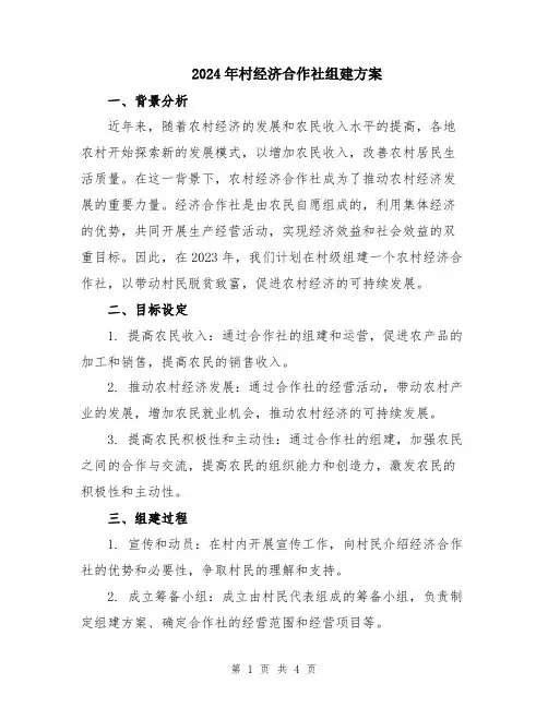 2024年村经济合作社组建方案