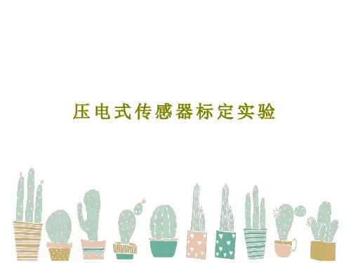 压电式传感器标定实验共29页