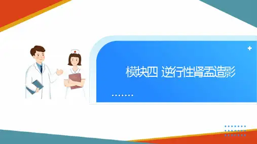 X线造影检查技术 逆行性肾盂造影