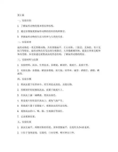 扁形动物实验报告(3篇)